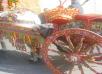 Festa del Mandorlo in Fiore. Preghiera per l'Africa.  25&deg; Anniversario di Episcopato di S.E.R. l'Arcivescovo - Vescovo di Acireale 