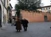 Viaggio a Lucca per i due anni della riforma pastorale dell'Arcidiocesi nell'ambito di un percorso di riscoperta del canto liturgico
