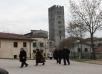 Viaggio a Lucca per i due anni della riforma pastorale dell'Arcidiocesi nell'ambito di un percorso di riscoperta del canto liturgico