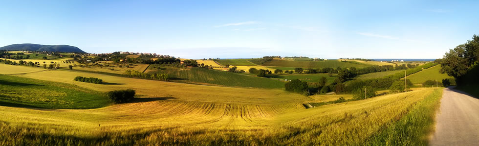 Marche